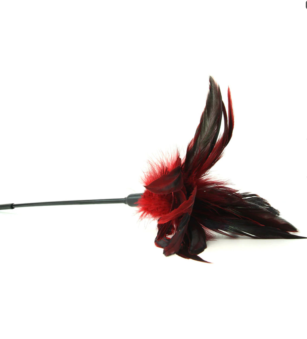 Starburst Feather Body Tickler in Red