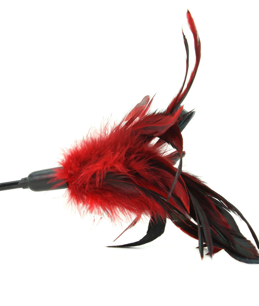 Starburst Feather Body Tickler in Red